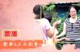 20160802֤TVĺ